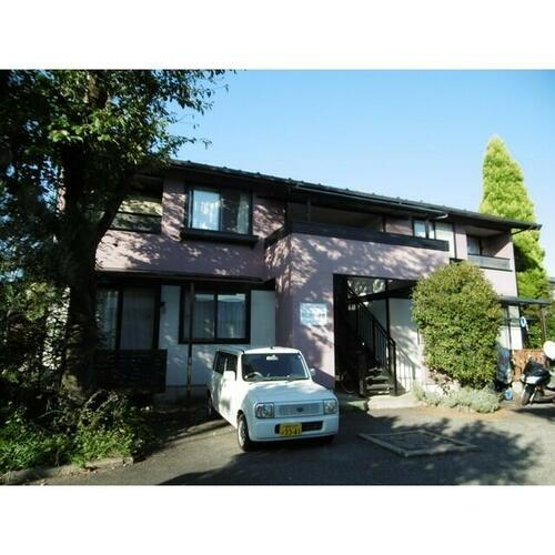 ホワイトバーチ原