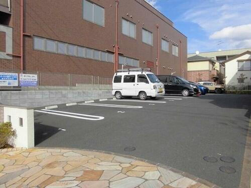 チェリス　フォンテーン　コスモ