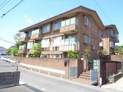 蜂の樹 3階建