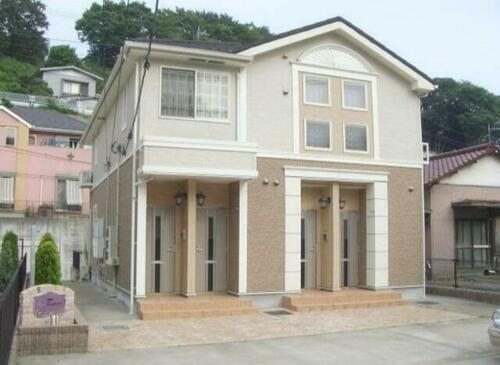 ピュアサンフラワー　Ｄ