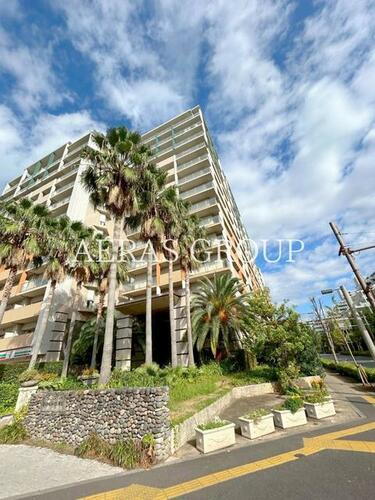 東京都足立区新田３丁目 賃貸マンション