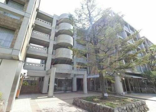 兵庫県芦屋市松ノ内町 地上5階地下1階建 築38年11ヶ月