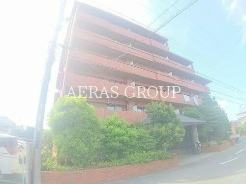 千葉県市川市新田３丁目 賃貸マンション