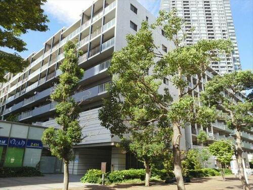 東京都江東区豊洲３丁目 14階建