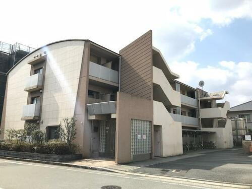 プロシードカイト