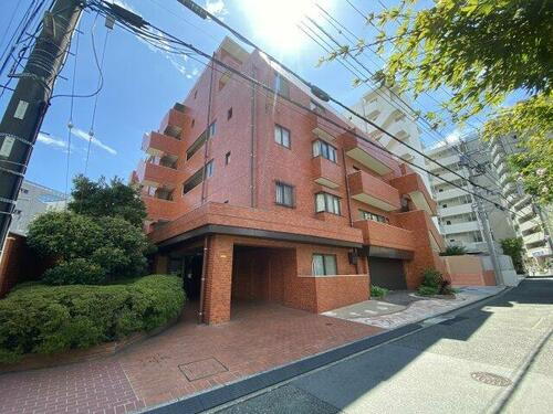 神奈川県藤沢市藤沢 賃貸マンション