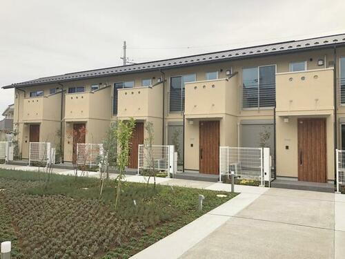 ＫＡＳＨＩＷＡＮＯＨＡ　ＨＹＧＧＥ　Ｎｏｒｔｈ