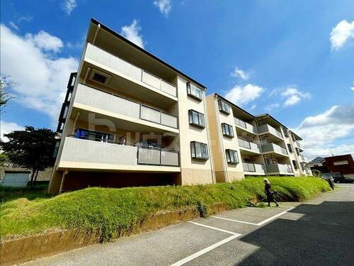 千葉県柏市東中新宿１丁目 築31年3ヶ月 3階建