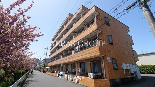 東京都八王子市松木 5階建