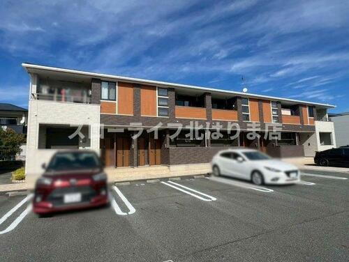 メイプル　コート