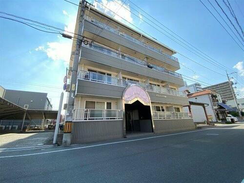 パラツィーナ光南