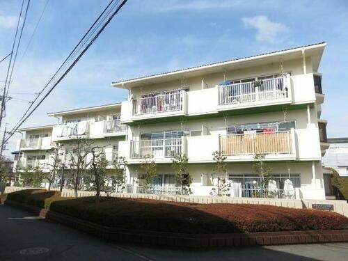 埼玉県所沢市南住吉 3階建
