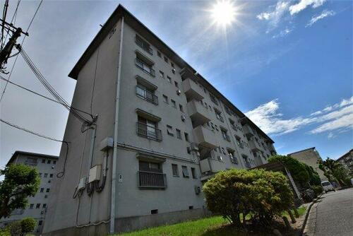 大阪府堺市北区東浅香山町３丁 5階建 築56年1ヶ月