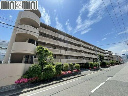 兵庫県西宮市池開町 5階建 築27年10ヶ月