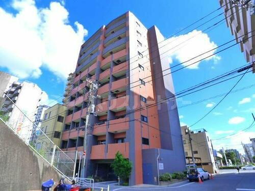 ブライズ亀戸 10階建