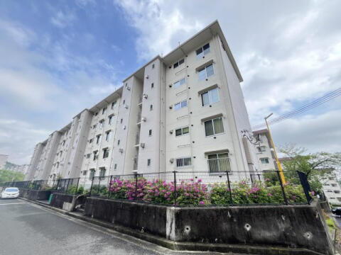 兵庫県宝塚市中山五月台６丁目 賃貸マンション