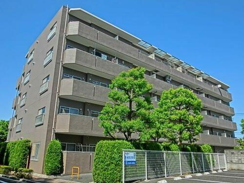 東京都足立区中川４丁目 5階建