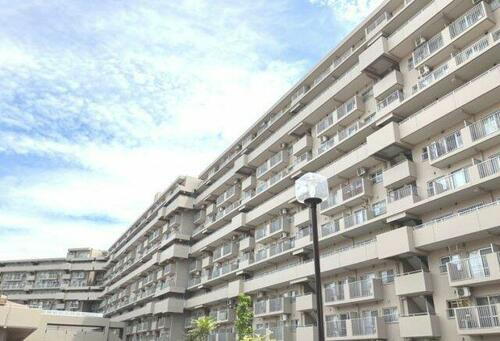 神奈川県横浜市戸塚区上倉田町 賃貸マンション