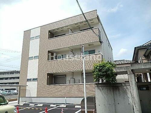 グランシエルオオタ