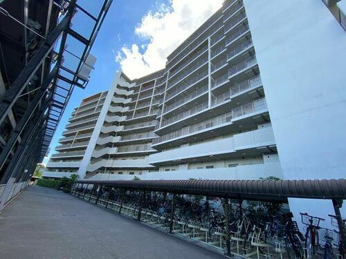 東京都荒川区南千住３丁目 11階建 築18年5ヶ月