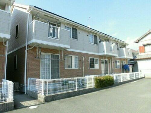 ドルフ・サンフラワー　Ⅱ