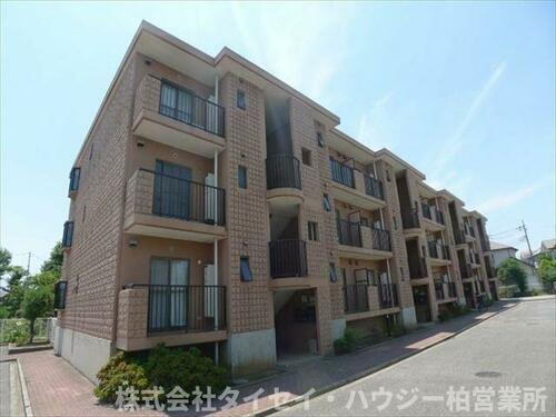 千葉県柏市松ケ崎 賃貸マンション