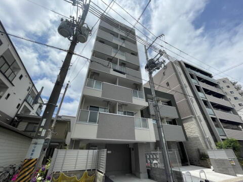 コートベルフラワー