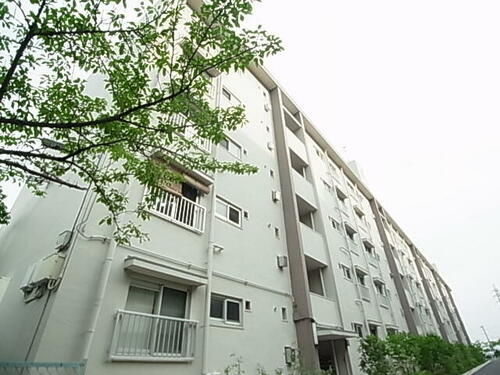 兵庫県神戸市東灘区渦森台２丁目 5階建 築55年2ヶ月