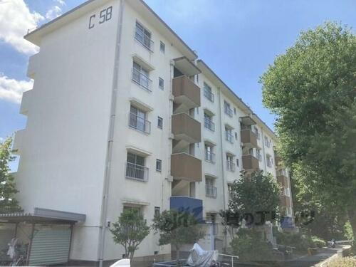 大阪府寝屋川市明徳１丁目 築52年12ヶ月 5階建