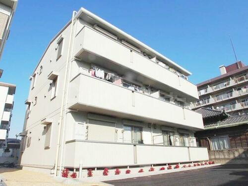 Ｐｌｅｉｏｎｅ