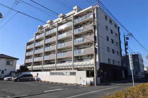 静岡県浜松市中央区助信町 賃貸マンション