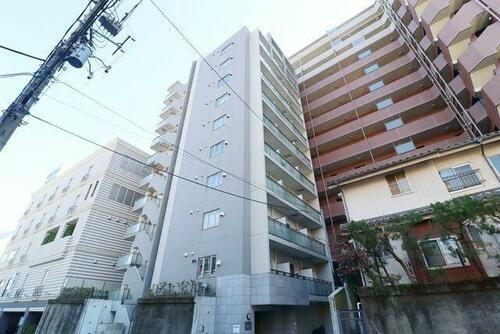 埼玉県さいたま市浦和区仲町１丁目 10階建
