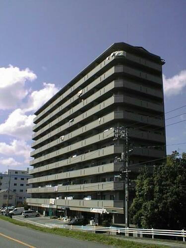 広島県広島市西区竜王町 11階建 築30年5ヶ月