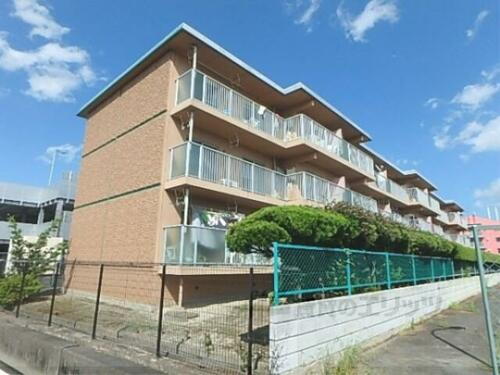 滋賀県守山市播磨田町 3階建 築37年11ヶ月