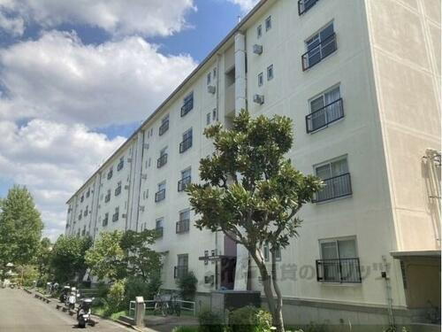 大阪府寝屋川市明徳１丁目 築53年6ヶ月 5階建