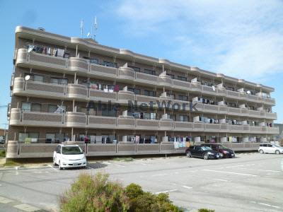 サマーブリーズⅡ