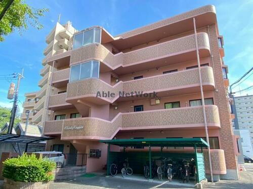 熊本県熊本市中央区国府２丁目 築27年10ヶ月 4階建