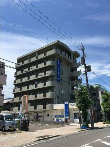 ウェークフォレストブロンド