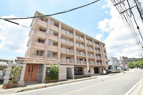 福岡県福岡市南区老司３丁目 5階建