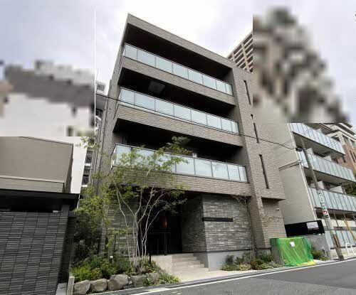 Ｓｈａｍａｉｓｏｎ　Ｃｉｔｒｕｓ