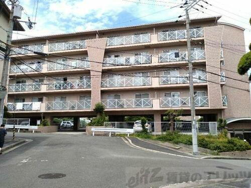 アムール千里 5階建