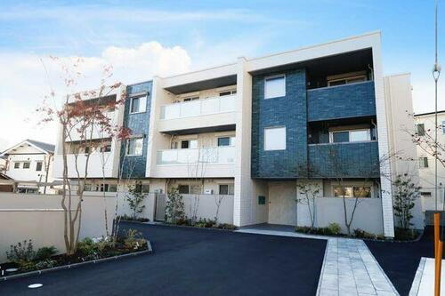 セレーナエルフォ