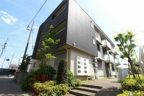 Ｍ－Ｒｕｓｃｅｌｌｏ