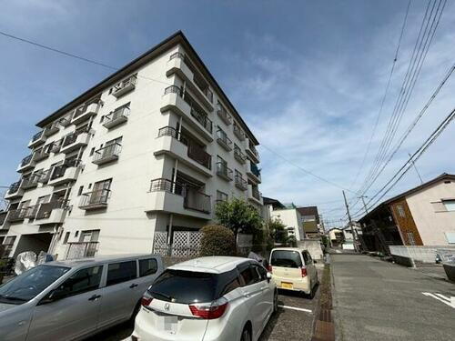 兵庫県尼崎市武庫町３丁目 5階建 築53年6ヶ月