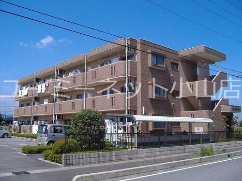 ユーミーサンライズ