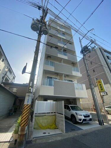 コートベルフラワー