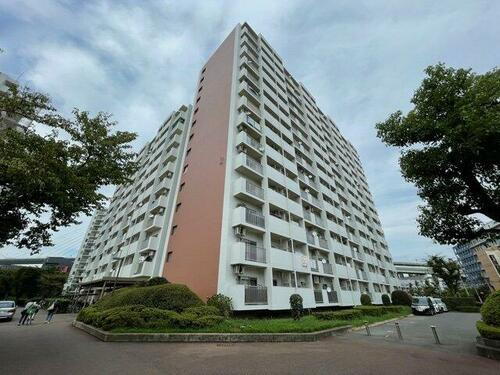 天保山第５コーポ２号棟 14階建