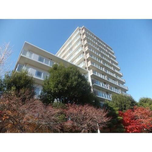 宮城県仙台市若林区新寺４丁目 賃貸マンション