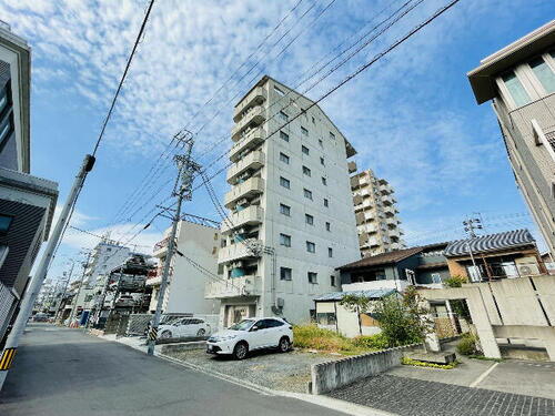 バンベール３１