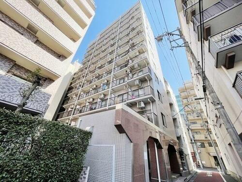 東京都大田区東矢口３丁目 12階建